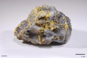 Gold with Quartz