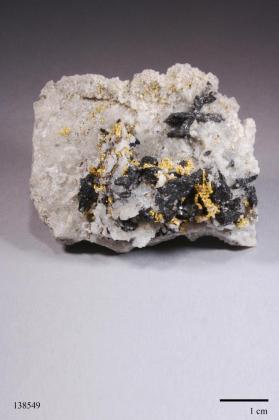 Gold with Ferberite