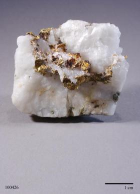 Gold with Pyrite