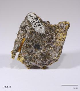 Gold with Pyrite and Quartz