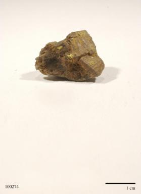 Gold with Pyrite