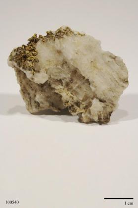 Gold with Quartz