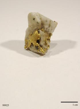 Gold with Quartz