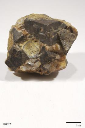 Gold with Pyrite