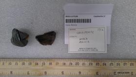 Cassiterite (2 pieces)