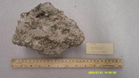 Tunellite