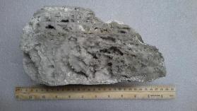 Colemanite