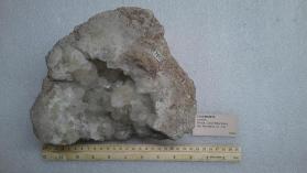 Colemanite