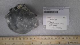 Brucite