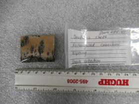 Picture jasper