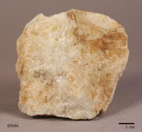 alergite