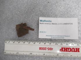 Wulfenite