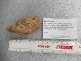 Wulfenite