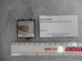 Wulfenite