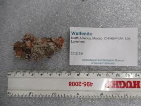 Wulfenite