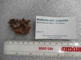 Wulfenite with Ecdemite