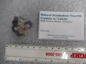 Natural Octahedron Fluorite Crystals w/ Calcite