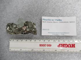 Fluorite w/ Pyrite