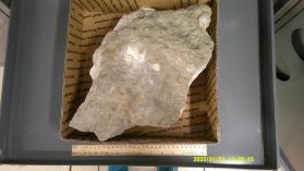 Ulexite