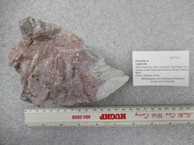 Rubellite in Lepidolite