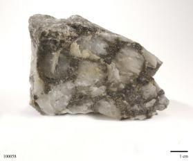 Gold ore with Pyrite and Quartz