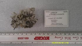 Natrolite with Polylithionite