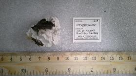 Astrophyllite