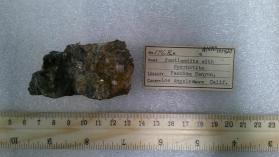 Pentlandite with Pyrrhotite