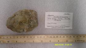 FLUORAPATITE