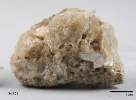 Uvite