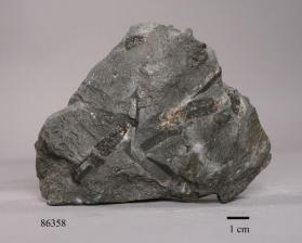 STAUROLITE