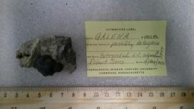 Galena
