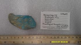 Posnjakite