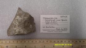 Thaumasite