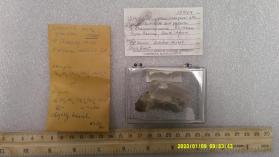 Shigaite with Caryopilite and Gypsum and RHODOCHROSITE