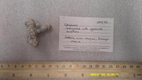 Collophane