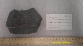 Chlorapatite