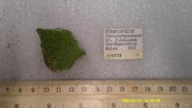 Pyromorphite