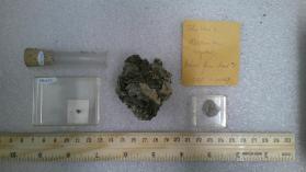 Marcasite