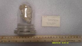 Aphthitalite