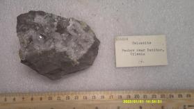 Celestine