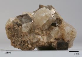 Muscovite