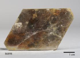 Muscovite