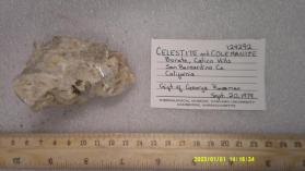 Celestine with Colemanite