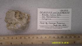 Celestine with Colemanite