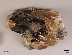 caswellite