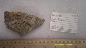 Creedite