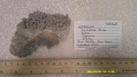 Gypsum