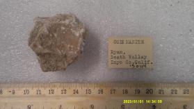 Colemanite 