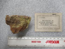 Molybdite